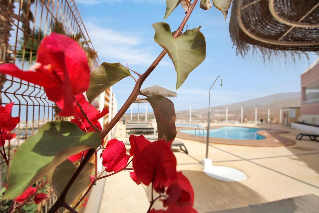 Luxury Penthouse, Best Sunset, Heated Pool, Fast Wifi أذيخي المظهر الخارجي الصورة